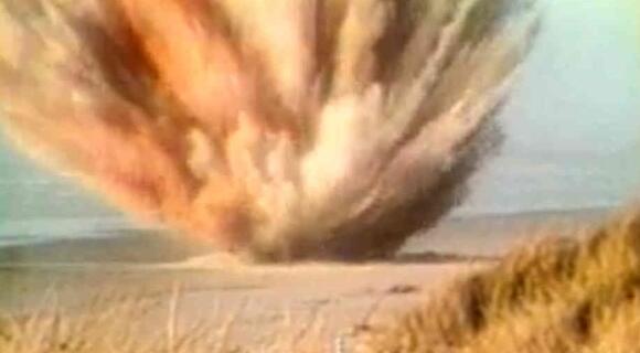 鯨魚死后“鯨爆”的威力有多強？專家：宛若一種生化武器