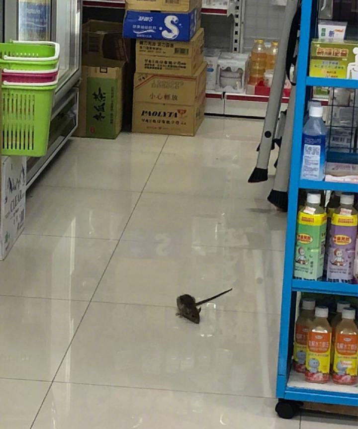 想知道有没有人真的会剪少儿沙雕型发型