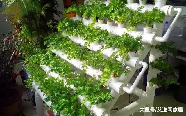 新房装修后这5样东西不要扔，第一个我就后悔了，当初真不该扔！