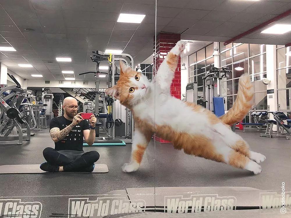 他养了一只3米高的猫，私密照曝光后，10万人云撸猫！