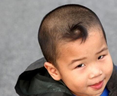 孩子头上“发旋”越多，智商就越高吗？