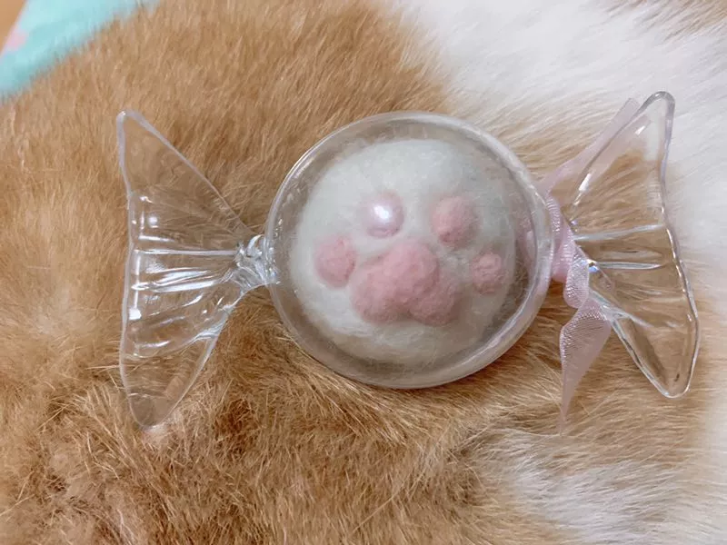 猫咪因为掉毛太多，主人不甘心去毛，竟然这样做