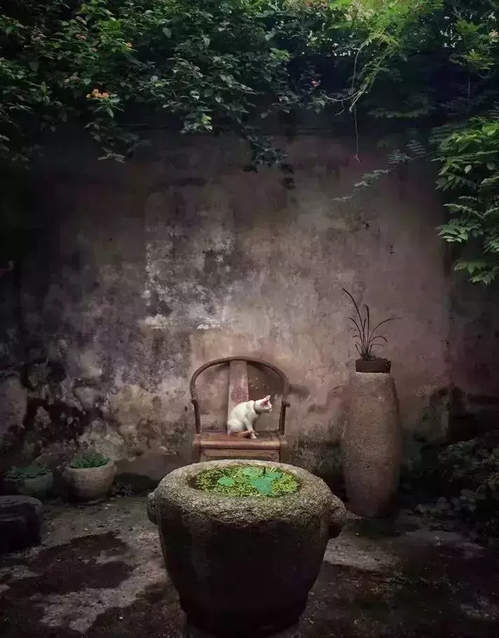 廚房搬進庭院 · 有酒有肉有故事