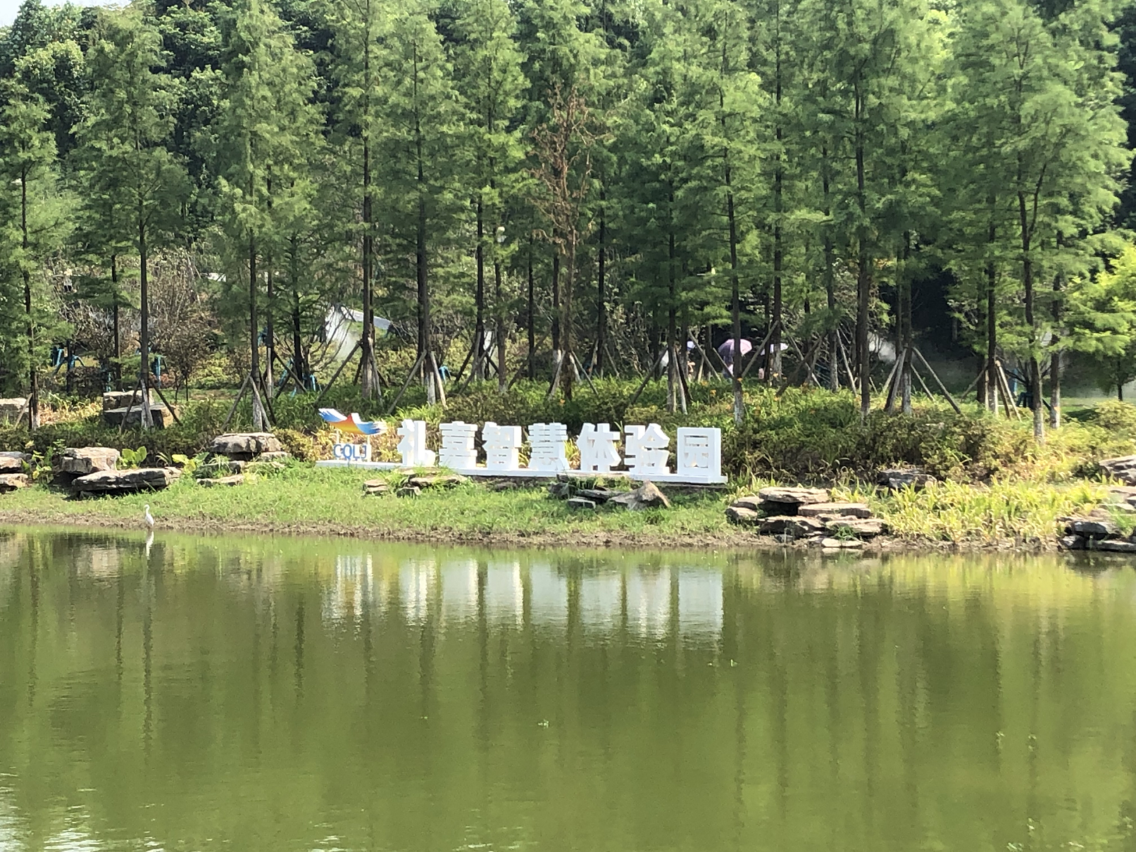 两江新区一批市政道路完工通车，礼嘉片区路网更加完善