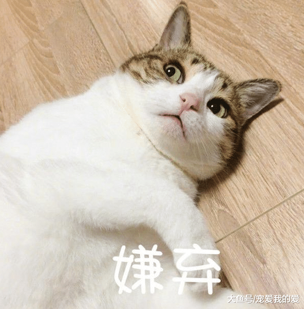 90岁的老大爷在街边上洗“鸡”，近看才知道缘由，姜还是老的辣