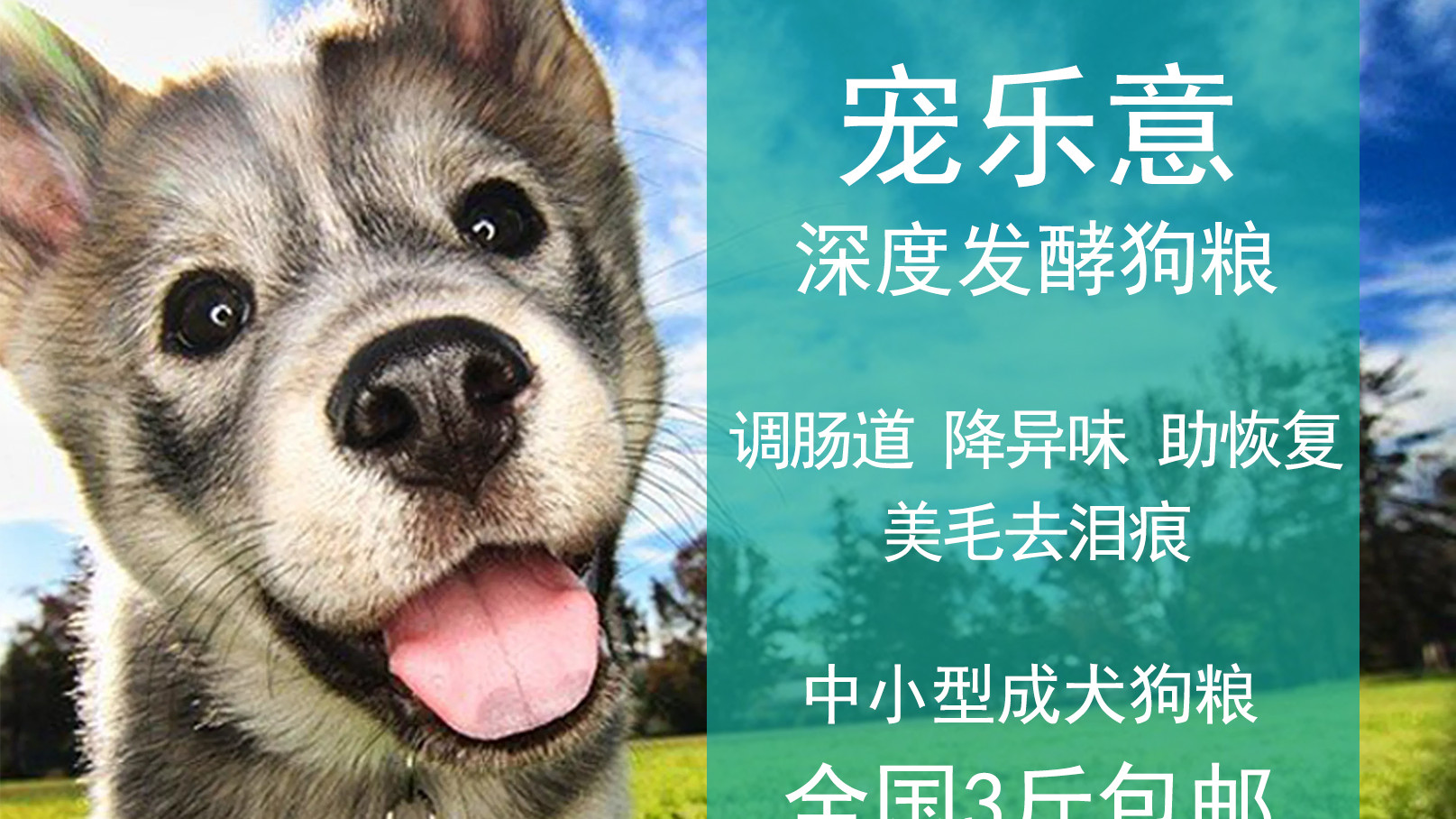 宠乐意！宠你没商量！