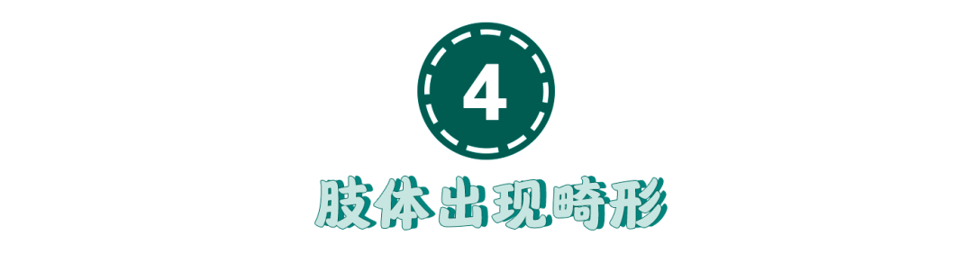 猫咪狗狗骨折了怎么办？扒一扒宠物“骨子里”的那些事