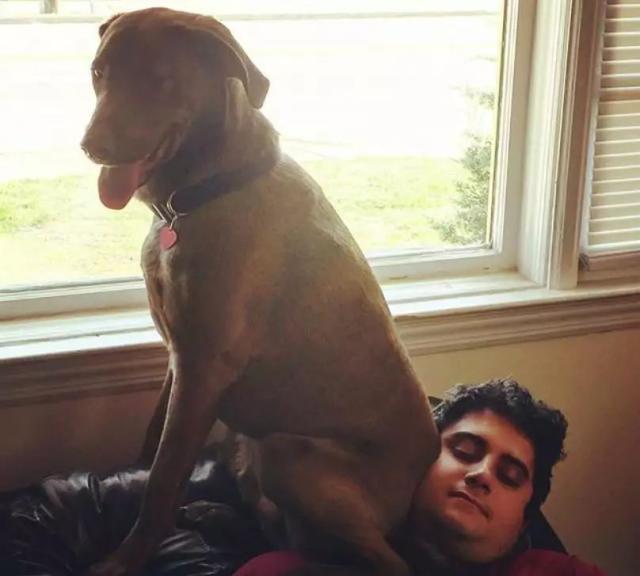 这些黏人的小妖精，也太可爱了吧！