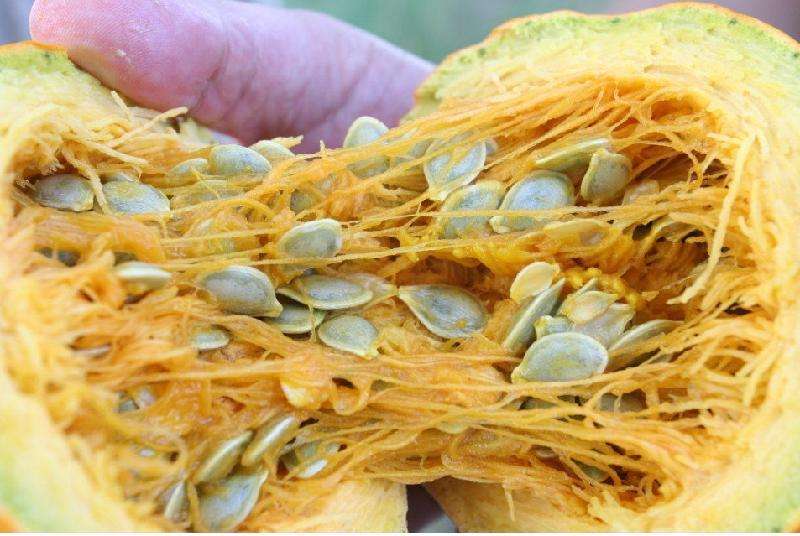 建议抽烟喝酒的男人：少喝酒别抽烟，多吃下面这些，健康益处多