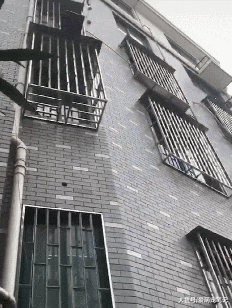 养了十年的拉布拉多腿脚不便，老丈人给它做了个吊机，简直宠上天