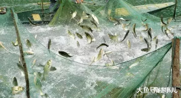 打折促销≠楼市回暖，做一个聪明的购房者！