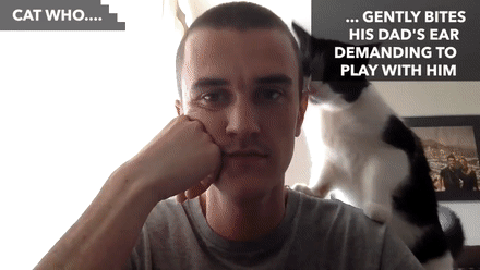 猫咪都会做啥？你想得到吗……