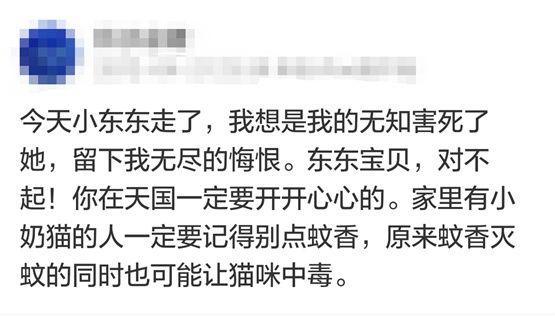 夏天到了，铲屎官千万不要在家里用这个