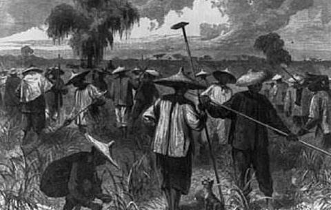 此国恩将仇报，中国人帮它独立 ! 独立后却将十几万中国人全部驱逐