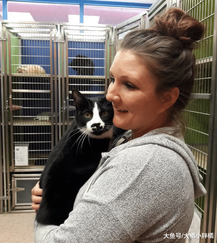 猫咪患病主人不愿治疗，被救治以后，猫咪喜欢拥抱每个照顾它的人