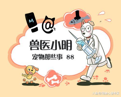 狗狗哮喘发作时，来得快去得也快，因此就可以不管不顾了？