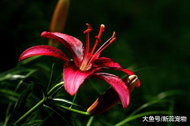 10月3号开始，3生肖财气飙升，好运旺盛，苦日子熬到头