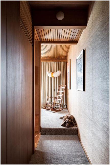 Nicole England|居民的狗和房子