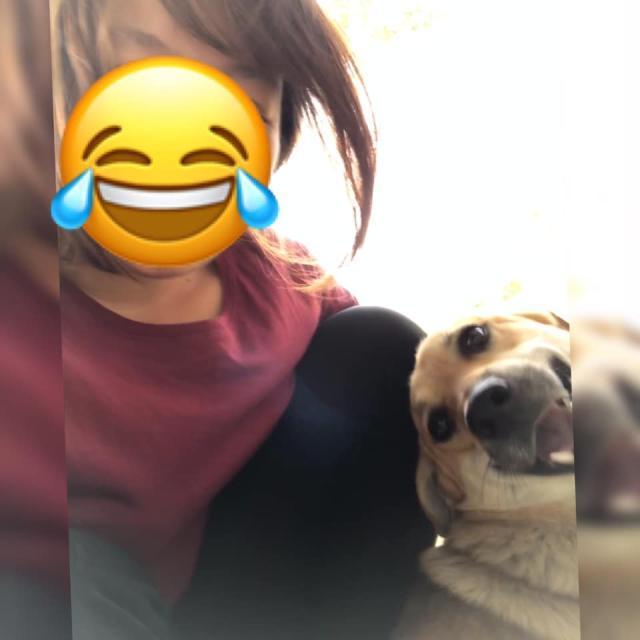 十年前，她被狗追到留下阴影，如今喂流浪狗，又碰到它……