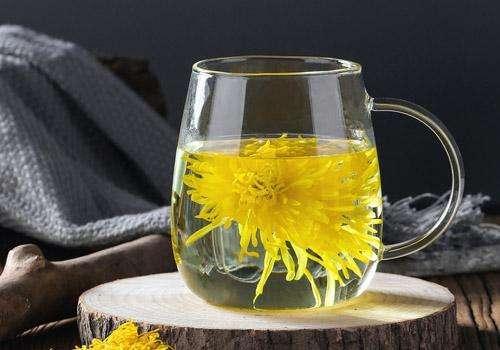 菊花茶营养丰富，菊花茶有什么功效和作用，喝菊花茶有何禁忌？