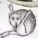 中世紀的藝術家，是不是對貓有什么誤解？