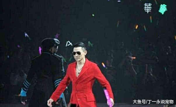 刘德华演唱会到场13万人，他的到场7人，而她没唱完就开始打扫