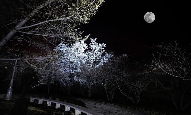 今年最后一次超级月亮