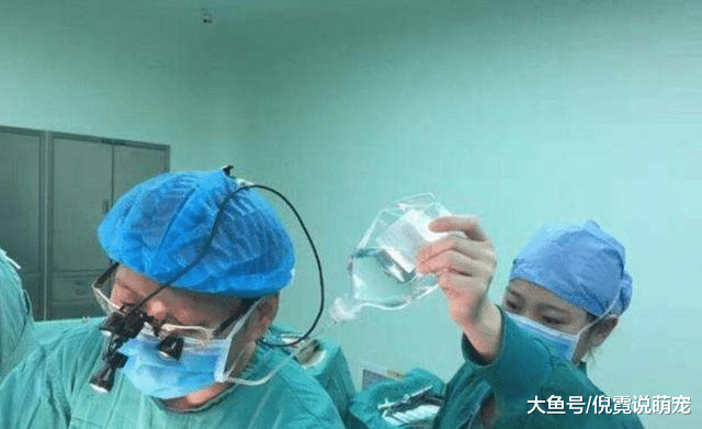一场大型手术要十几个小时，那么主刀医生吃饭怎么解决？涨知识了