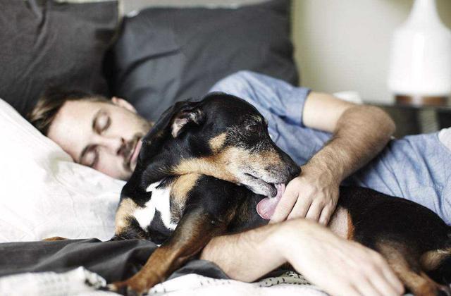 为什么狗狗都喜欢赖在床上，和你一起睡觉？原来有这6个原因！