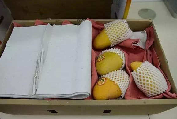 少了一个芒果，客户刁难，女快递员下跪求原谅，派出所开最强证明