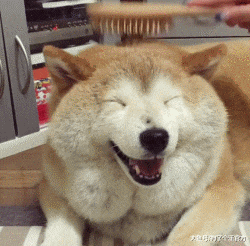 挨妈妈骂的你，内心毫无波动，甚至还想略略略