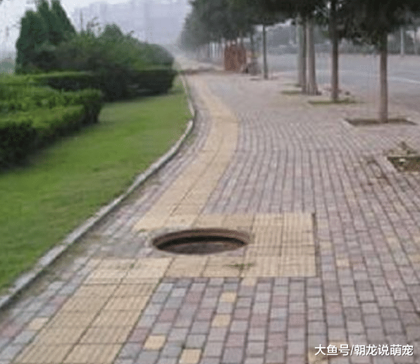 流浪狗在路边对着孕妇乱叫，当时把孕妇气得要打它，知道情况后感激