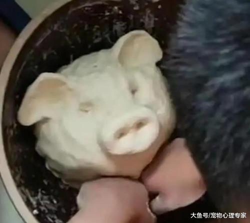 儿子想吃饺子，妈妈便让他帮忙和面，5分钟后一看下不去手了