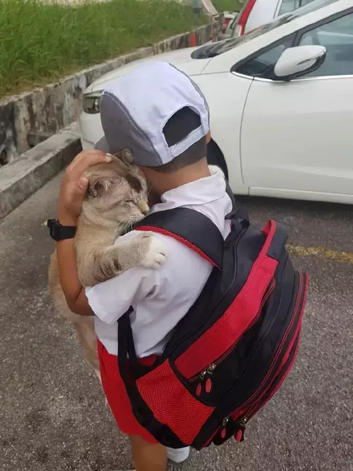 男孩准备去上学，不舍得和猫分开于是……