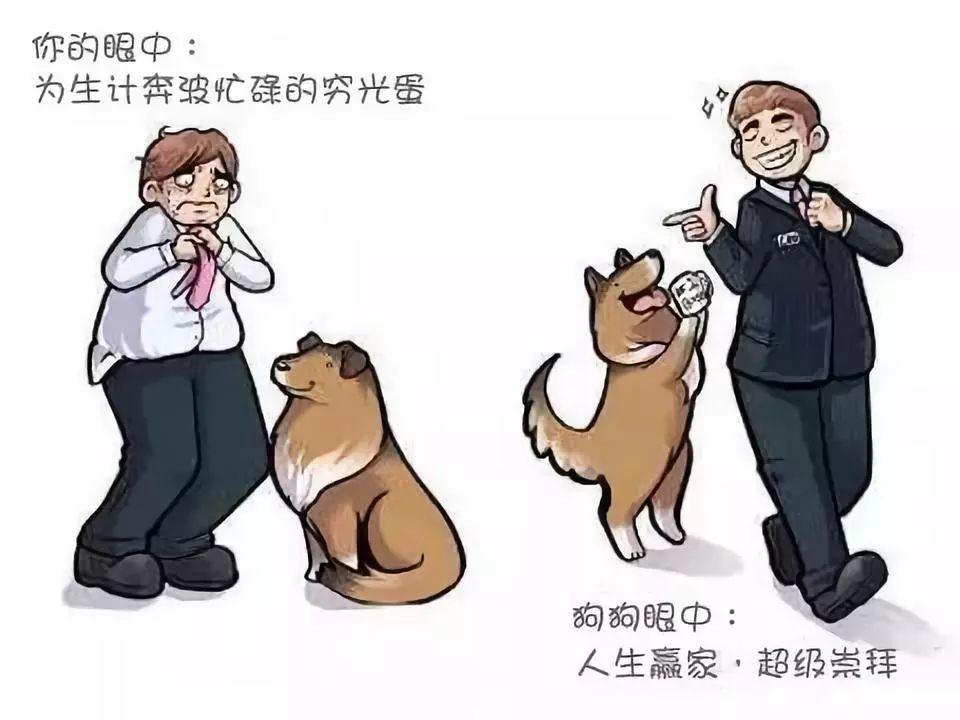 不管怎樣，你都是它眼里的蓋世英雄