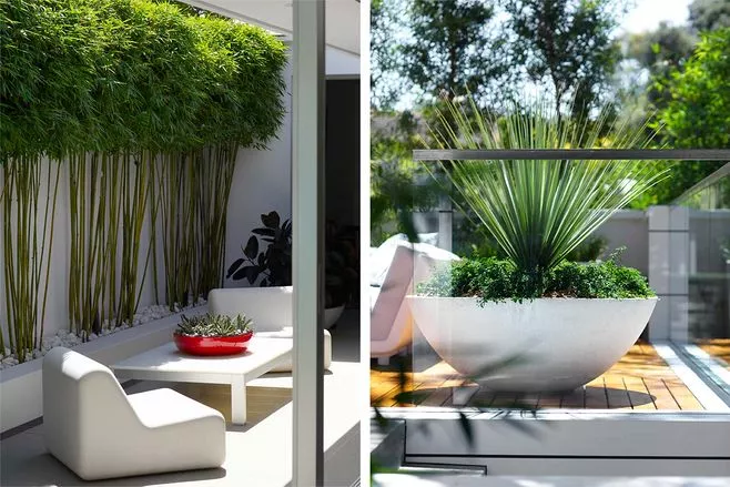 院子美，一定生活也美