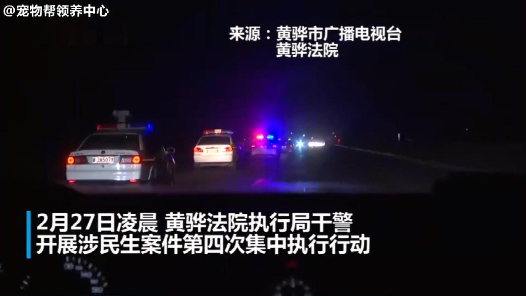 大金毛大义灭亲，带着警察叔叔抓老赖主人，遵法守法，好好做人！