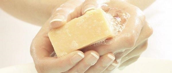 光用樟脑丸根本没办法把蟑螂全灭，婆婆用一颗土豆竟杀死一片！暖男历劫