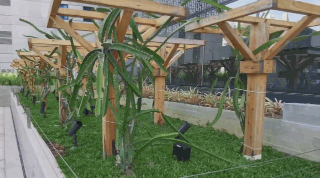 花28亿！新加坡30年商业体开挂变身科幻游戏现场