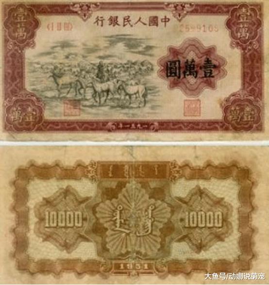 八旬老太怒砸银行，几十年前存了5万元，现取出连本带利只有20元？