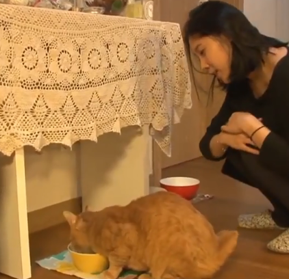 遭主人遗弃拒绝进食，幸得好心人帮助，世界上不止一个人爱你