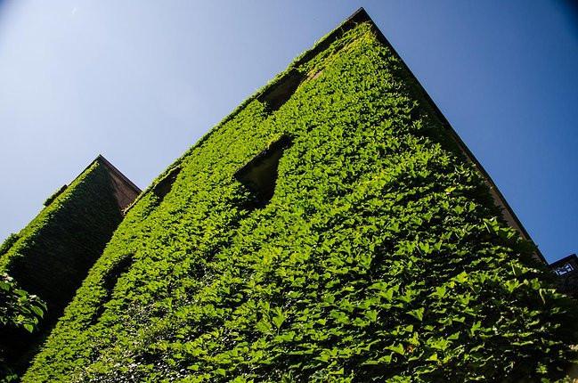 来枸杞岛, 以观沧海