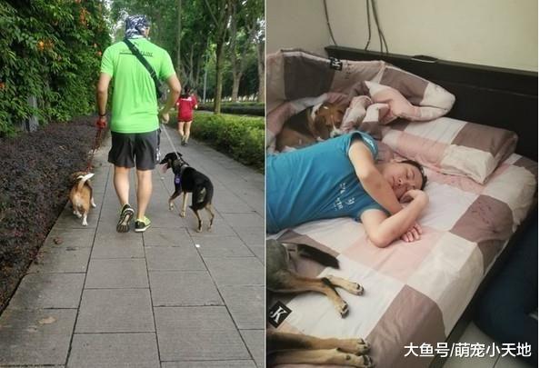 男友婚前叹觉得养狗顾不了家，揭背后原因让未婚妻暖哭！