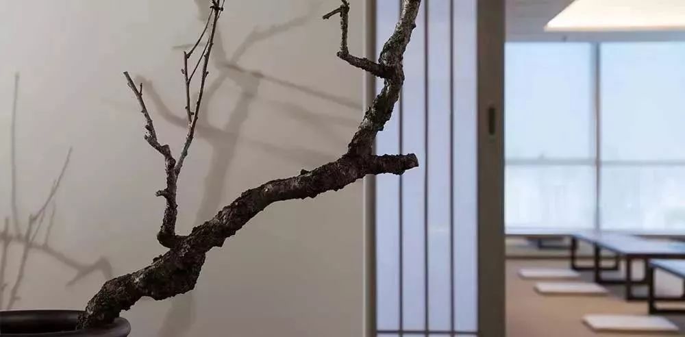 这才是茶室该有的样子，至极至美，极度舒适