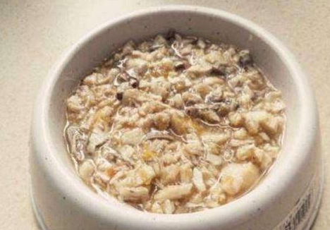 怎么看加菲猫发腮，加菲猫发腮时间