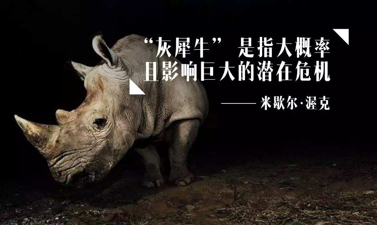 三四線樓市“灰犀牛”已至，你以為的房價“底部”或將是“山頂”