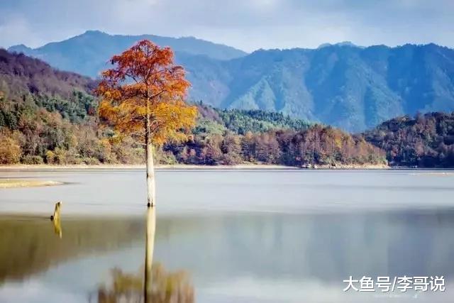 瞬间就是一年，转眼就是一生！