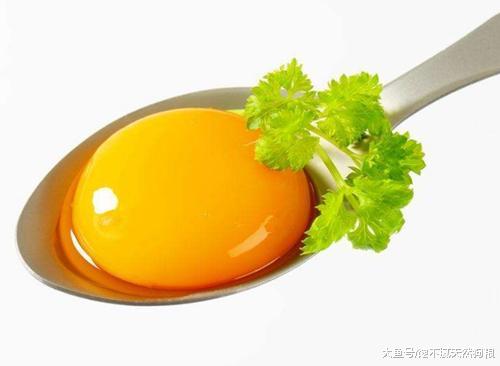 泰迪褪色怎么办？莫慌，3招教你还原本色