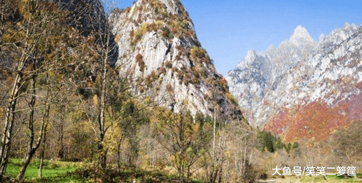 不知是人多無好菜，還是在下的廚藝實在不錯，魚肉很快就被吃完了