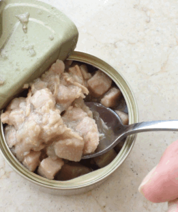 主食罐&零食罐有啥不同？怎么喂？看这一篇就够了！